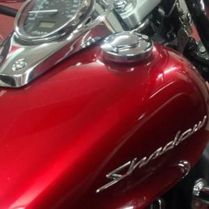 Meet your Posher, Jane